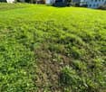 Terreno edificabile con progetto
