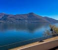 mountains, lake, fence, tree