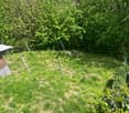 Lush green garden with tall trees, overgrown grass, and some garden equipment visible.