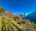 a hillside with a wooden fence, grassy area, small house, trees, mountains in the distance