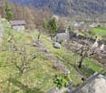 hillside garden with stone wall, small trees, plants, and a distant view of houses and mountains