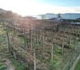 6850 Mendrisio