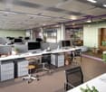 open plan office with many desks and office chairs, potted plants, monitors, and storage units
