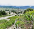 Auf Anfrage 1, 3960 Sierre