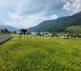 La licenza è approvata, costruiscimi, cosa aspetti!