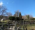 PRATO PER CAVALLI