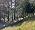 6583 S. Antonio (Val Morobbia)