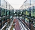 modern building with glass walls, central walkway, plants, reflections