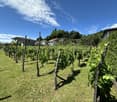 6850 Mendrisio
