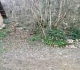 Terreno edificabile zona cantine