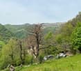 Terreno di 1'870 mq in posizione rialzata e soleggiata
