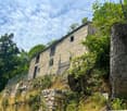 stone facade, several windows, wooden gate, chain-link fence, overgrown plants