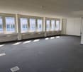 Large open office space with multiple windows, grey carpeted floor, and white walls. The room appears to be empty and ready for use.