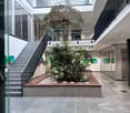 modern office building, glass walls, gray floors, staircase, plants, colorful wall art