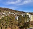 Im Aegelsee 2, 8103 Unterengstringen