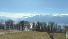 Listing picture