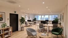 modern office space with wooden floors, white walls, multiple desks, office chairs, plants, bookshelves, and a rug