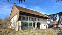 atypical house with tiled roof and raised ground floor, white walls with green shutters, green fence, driveway in front
