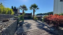 Wooden deck, mesh fence, two palm trees, potted plants, gravel path, sunny day
