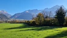 Open green field with trees, bushes and mountains in the background.