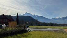 green grass, gravel path, wooden house, mountains in the background