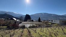vineyard, mountains, clear sky, houses, trees
