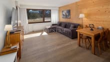 living room with wooden floor, wooden couch, wooden table, wooden chairs, wooden lamp, TV, wooden cabinet, wooden window curtains, wooden wall