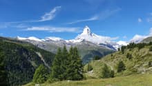 Immagine dell’oggetto