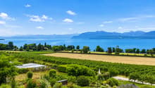 Vue Panoramique lac