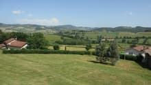 Immagine dell’oggetto