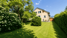 Listing picture