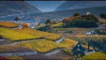 Immagine dell’oggetto