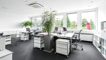 Teambüro