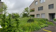 Listing picture