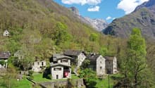 Immagine dell’oggetto