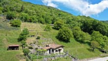 Immagine dell’oggetto