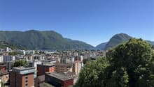 Vista