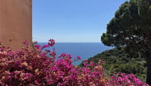 Vista