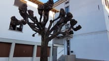 Listing picture
