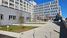 Modern office buildings with glass windows, paved entrance, landscaping, and gray exterior