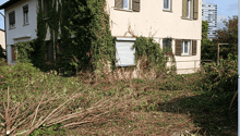 Immagine dell’oggetto