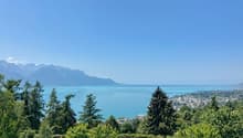 VUE DEPUIS  PANORAMIQUE DEPUIS LE SEJOUR