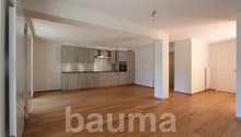 Plus de photos sur www.bauma-immobilier.ch