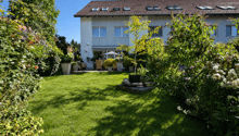 Listing picture