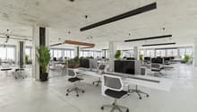 white desks, grey chairs, various plants, large windows, monitors