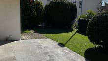 Listing picture