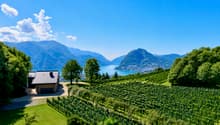 Immagine dell’oggetto