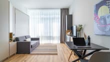Sofa, table, TV, plant, desk, laptop, chair, artwork
