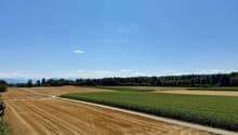 Ausblick