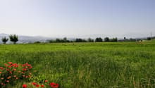 Image de l’objet